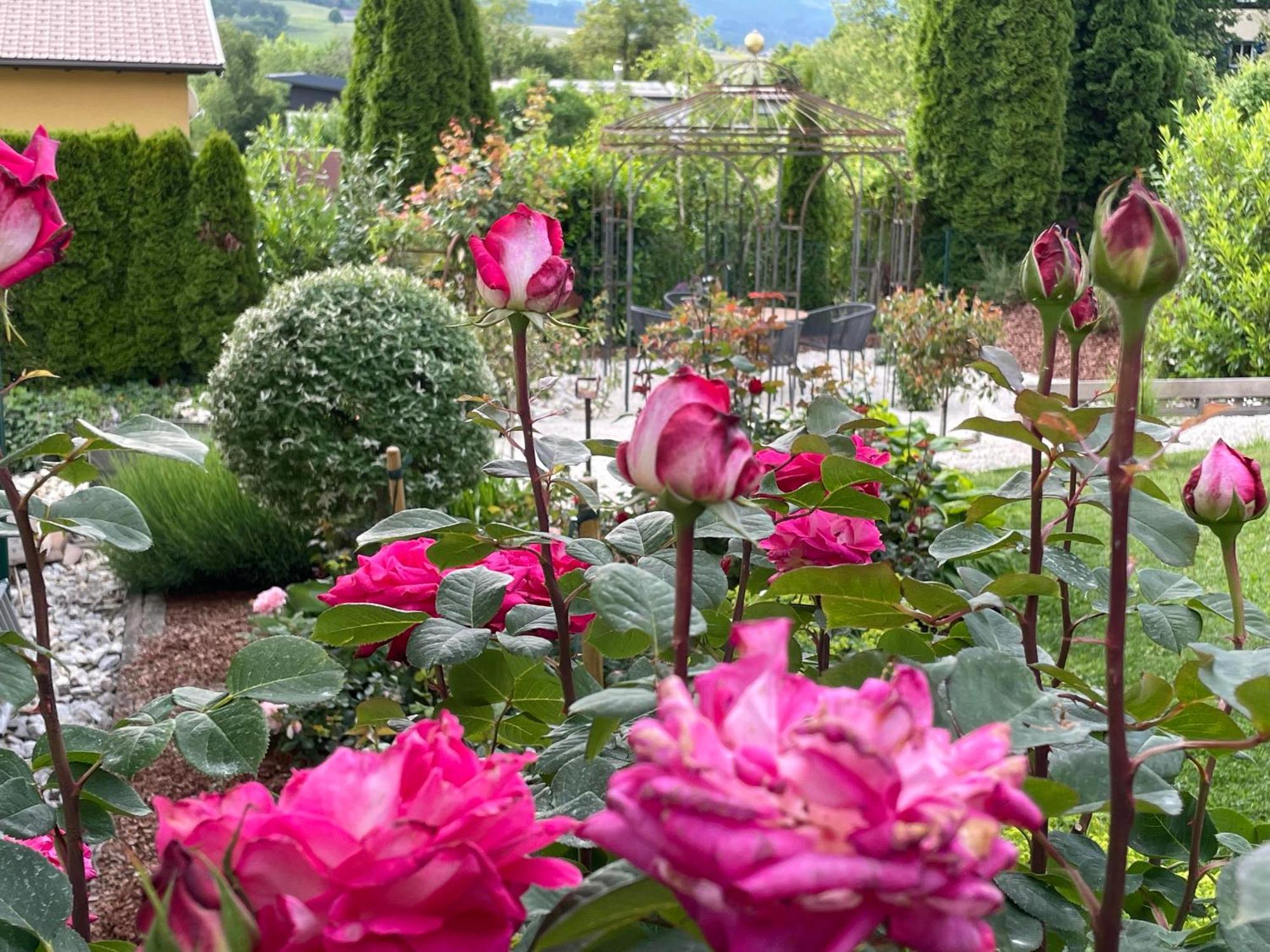 Bed And Breakfast Mittelkaernten Althofen  Exterior foto